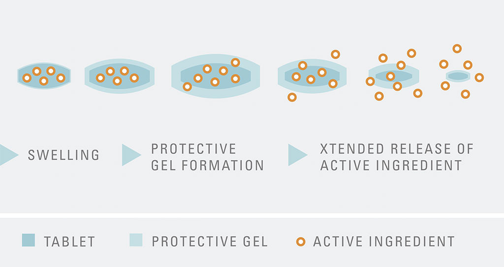 Work-principle of Xtended Release with Tylopur Xtend Nutra®