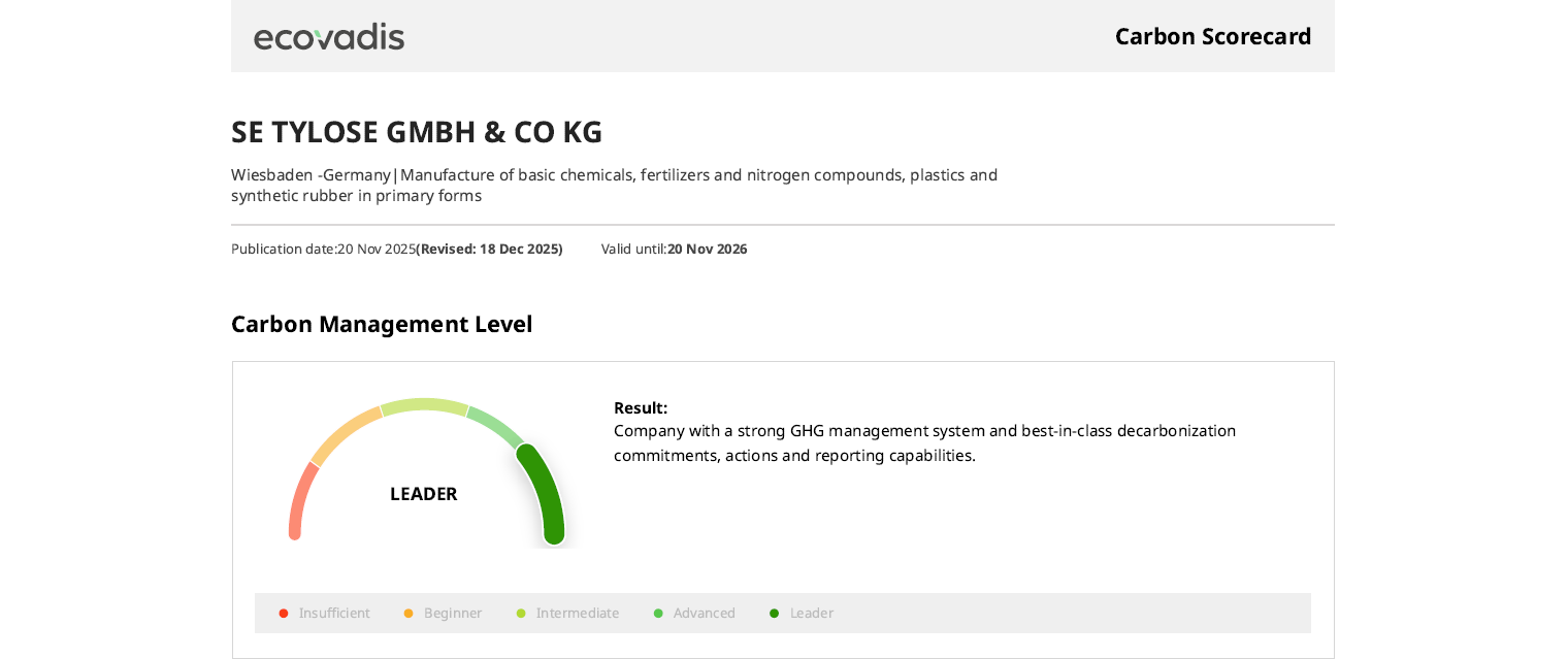 EcoVadis Carbon-Scorecard 2025 en