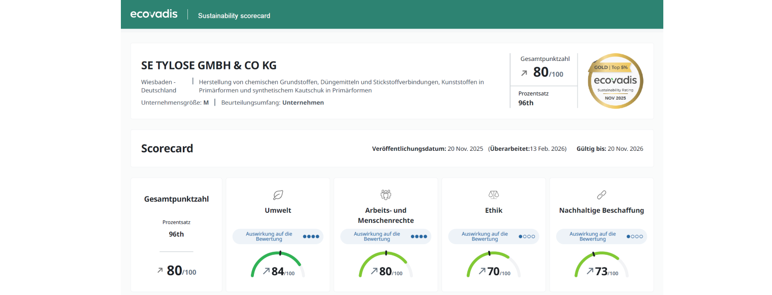 EcoVadis scorecard 2025.